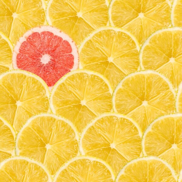 One Pink Grapefruit Slice Stand Out Of Yellow Lemon Slices